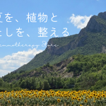 【７月】イベントやキャンペーン